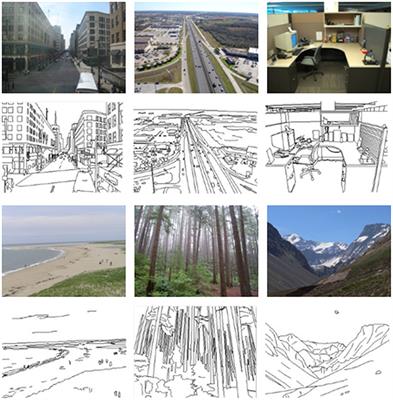 Neural Correlates of Subjective Awareness for Natural Scene Categorization of Color Photographs and Line-Drawings